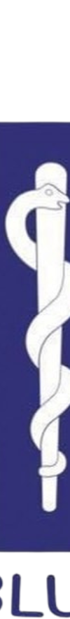 Croce_blu_brescia
